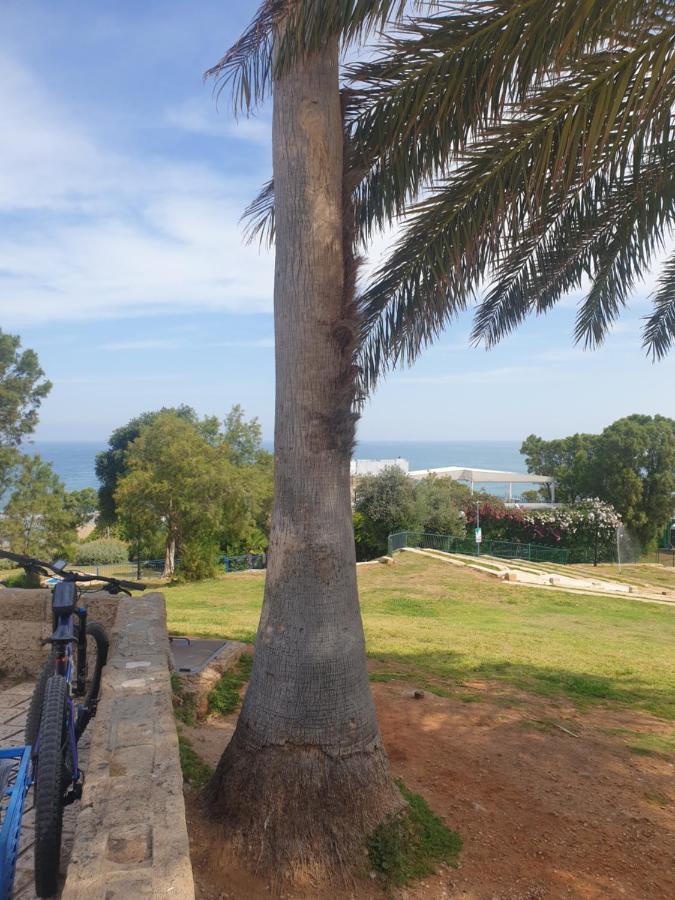 Luxury Studio At The Heart Of Old Jaffa Τελ Αβίβ Εξωτερικό φωτογραφία