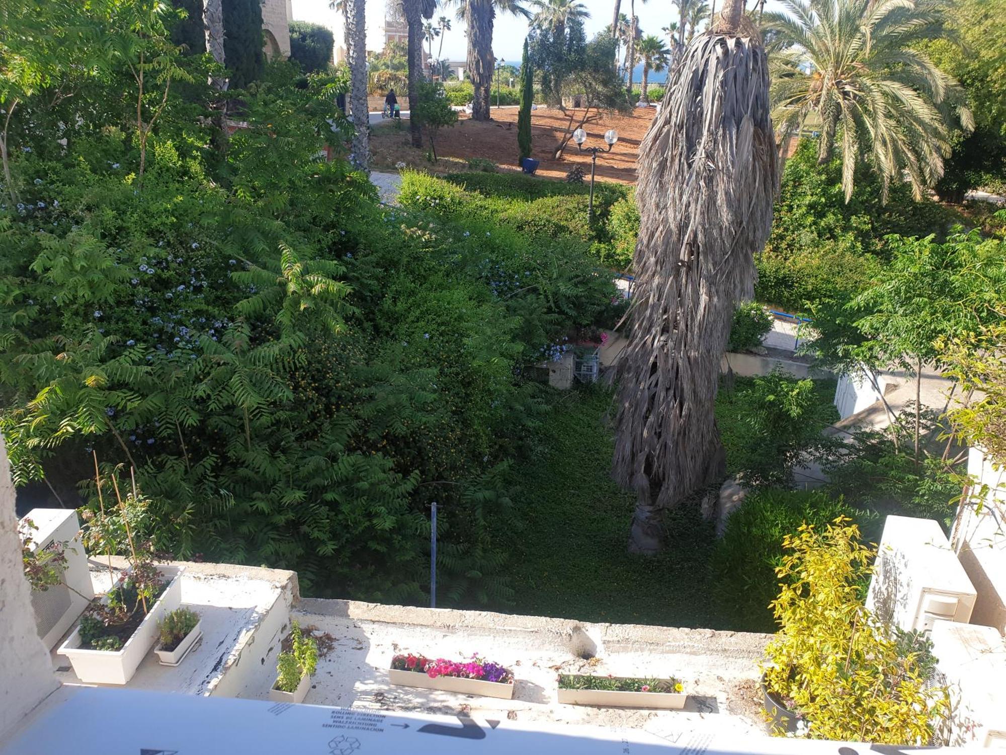 Luxury Studio At The Heart Of Old Jaffa Τελ Αβίβ Εξωτερικό φωτογραφία